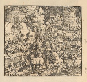 Scheren, melken en slachten van schapen