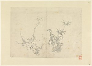 Schetsblad met wilde roos en een chrysant door Anonymous