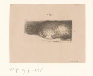 Slapende puppy door Anonymous