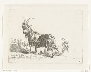 Staande en liggende geit of bok (Geiten en schapen naar N.P. Berchem) door Anonymous