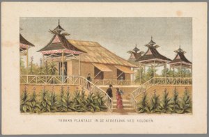 Tabaksplantage van de Nederlandse koloniën op de Wereldtentoonstelling in Amsterdam, 1883 door Anonymous