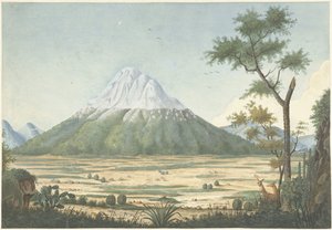 Tropisch landschap met bergen