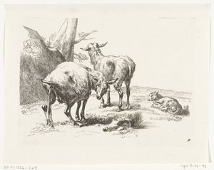 Twee staande geiten en een jonge geit (Geiten en schapen naar N.P. Berchem) door Anonymous