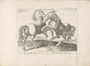 Twee vechtende paarden door Anonymous