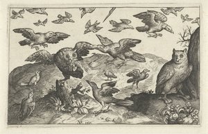 Uil met prooi belaagd door andere vogels
