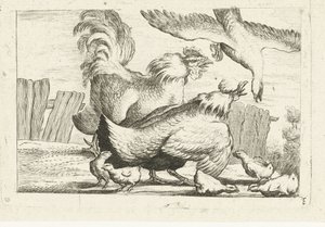 Valk valt groepje kippen met kuikentjes aan