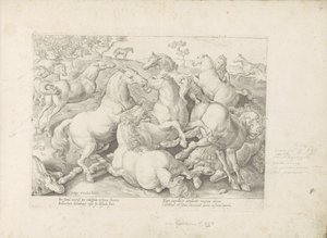 Vechtende paarden door Anonymous