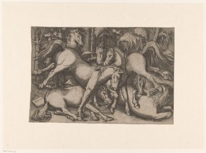 Vechtende paarden door Anonymous