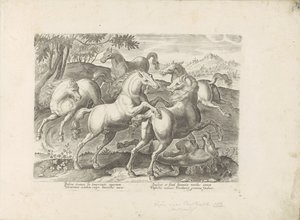 Vechtende paarden met een onder de voet gelopen paard