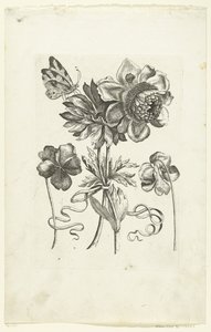 Vier bloemen, waaronder twee viooltjes