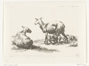 Zogend schaap met twee lammeren door Anonymous