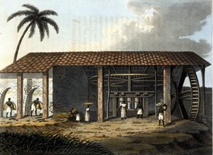 Brazilië, suikerfabriek - in The Old and Modern Costume 1819-1820 door Dr. Jules Ferrario, uitgever Milaan. door Anonymous Anonymous