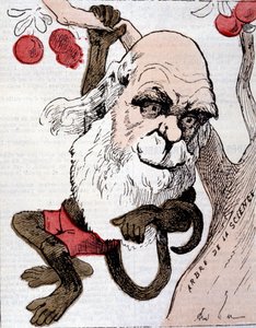 Karikatuur van Charles Robert Darwin (1809 - 1882) in "La Lune" door Anonymous Anonymous