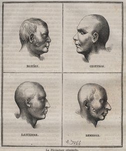 Criminele frenologie in de Brest Bagne (portretten die de fysiognomische kenmerken van verschillende soorten criminelen weergeven). Gravure in Histoire des bagnes depuis leur création à nos jours (1877) door Pierre Zaccone. door Anonymous Anonymous
