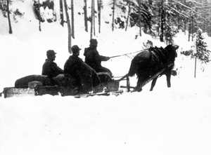 Eerste Wereldoorlog, Carso Front: Italiaanse alpine jagers (alpino of alpini) dragen voedsel op sleeën