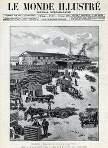 Maritieme handel: aankomst van kwartels uit Egypte in de haven van Marseille. Een krant. Gravure in 