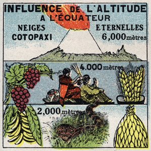 Meteorologie: invloed van hoogte op klimaat. Anonieme illustratie uit 1925. Privécollectie.
