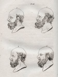Fysiognomie - Fysiognomie - Verschillende hoofden van de Griekse filosoof Socrates (ca. 469 v.Chr.-399 v.Chr.) (Buste van Socrates (ca. 469 v.Chr.-399 v.Chr.), Atheense filosoof) gravure van 1808 in 