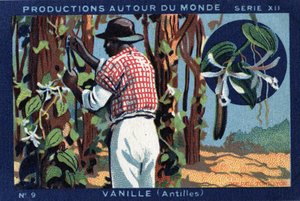 Producties over de hele wereld: Vanille in de West-Indië. Chromolithografie uit 1933 in “Joseph-Milliat Album”