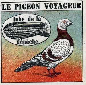 Het postkantoor: de reizende duif. Anonieme illustratie uit 1925. Privécollectie. door Anonymous Anonymous