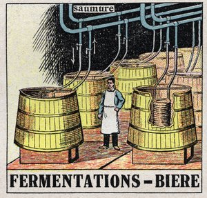 De koude industrie: moutfermentaties om bier te produceren. Anonieme illustratie uit 1925. Privécollectie. door Anonymous Anonymous