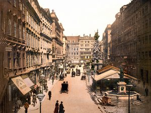 Wenen in 1901. Der Graben. Fotochroom