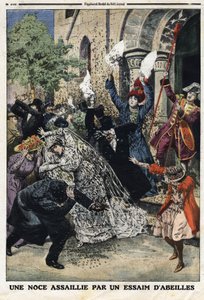 Bruiloft werd aangevallen door een zwerm bijen. Gravure in 