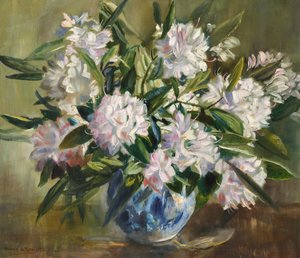 Rhododendrons, bleek wit en roze