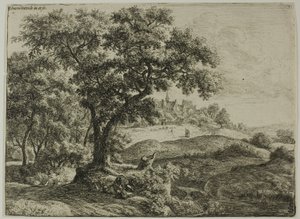 De rand van het bos