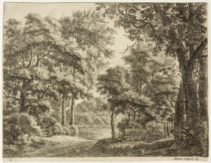 De delen van het hout die pas zijn gesneden door Anthonie Waterloo