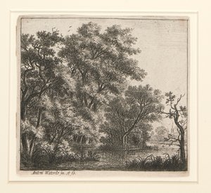 Het Beboste Eiland door Anthonie Waterloo