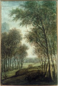 Bosrand door Anthonie Waterloo