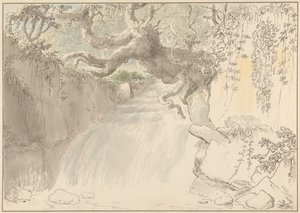 Waterval en boomstam door Anthony Devis