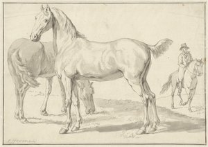 Twee paarden in een weide, rechts een ruiter