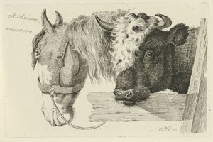 Paardenhoofd en stierenkop