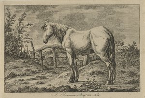 Staand paard