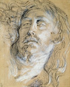 Hoofd van de dode Christus door Anthony van Dyck