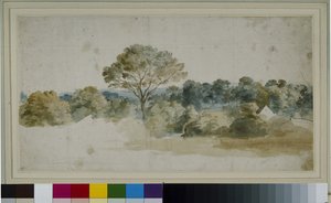 Landschap