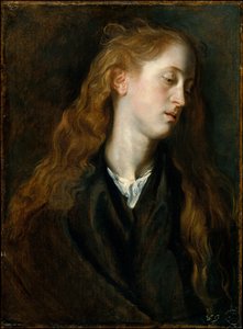  door Anthony van Dyck