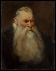 Kopstudie van een oude man met een witte baard door Anthony van Dyck