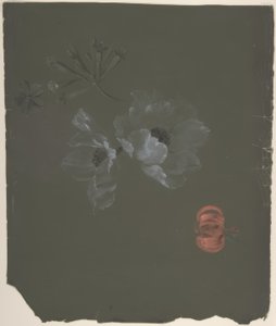 Floraal ontwerp