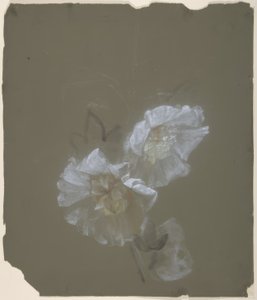 Floraal ontwerp