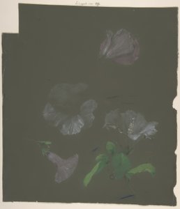 Floraal ontwerp
