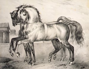 De paarden bereden door Louis Philippe, de hertog van Orleans bij de Slag van Valmy, gegraveerd door Victor Adam door Antoine Charles Horace Vernet