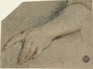 Hand wijzen en onderarm