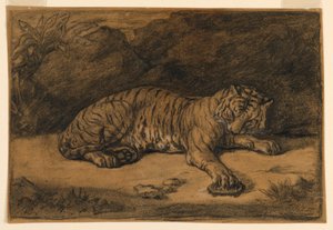 Een tijger en een schildpad door Antoine Louis Barye