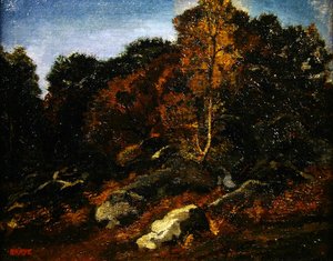 Herfst in Fontainebleau