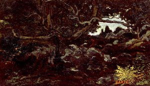 In het Fontainebleau-bos