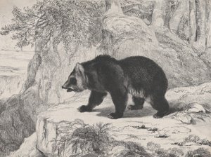 Mississippi Beer, 1836
