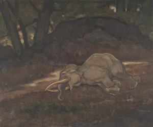 Slapende olifant